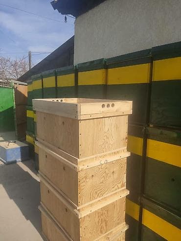 мёд соты: Ящик — 6