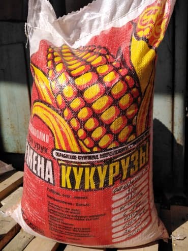 уголь көмүр: Семена: Кукуруза, Самовывоз, Бесплатная доставка, Платная доставка — 2