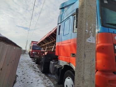 даф ман вольво: Тягач, DAF, Самосвал — 7