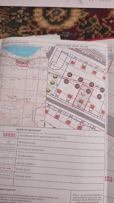 участок анар: 8 соток, Красная книга — 3