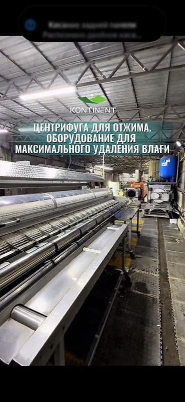 Килемдерди жуу, | Килем, Паластар, Акысыз жеткирүү