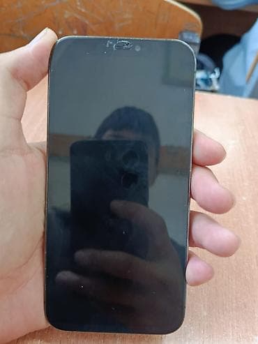 афон 12: IPhone 12 Pro, Графит, Чехол — 5