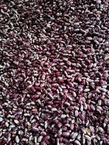 зерно кофе: Фасоль сатылат басы 200сом — 1