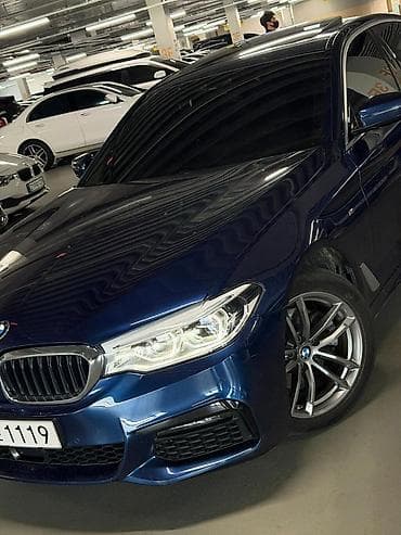 BMW 5 series: 2019 г., 2 л, Автомат, Дизель, Седан — 8