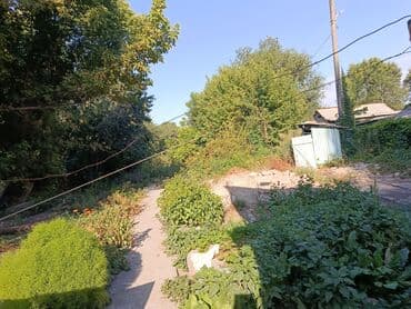 продаю дом новониколаевка: Үй, 14 кв. м, 5 бөлмө, Менчик ээси, Эски ремонт — 7