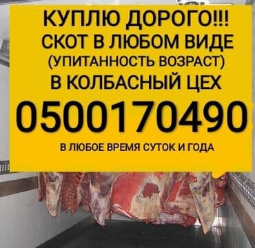 продаю в связи с переездом: Забираем сами — 1