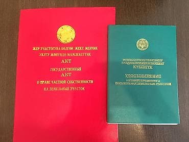 Жер тилкелери: 93 соток, Бизнес үчүн, Сатып алуу-сатуу келишими — 2