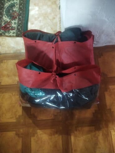 котенок шиншилла купить: Отдам в добрые руки маленького котёнка. Милый пушистик, серый тигровый — 3