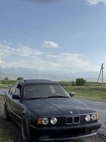 BMW 5 series: 1990 г., 3 л, Механика, Бензин, Седан