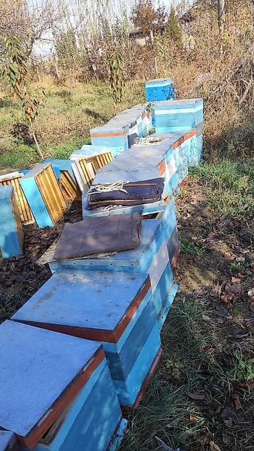 фрезерные работы: Пасечный инвентарь и ульи - Деревянные ульи мультиярусные — 1