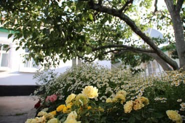 как дешево отдохнуть на иссык куле: Номер, Чолпон-Ата — 2