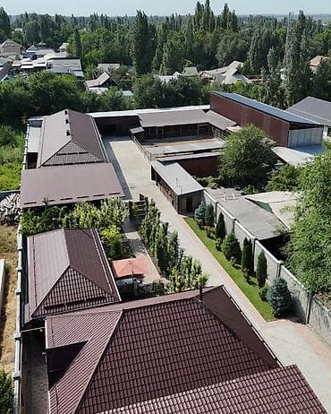 5000 сом кино: 🐏 В продаже готовая ферма по разведению арашанов. 📍с. Новопокровка — 4