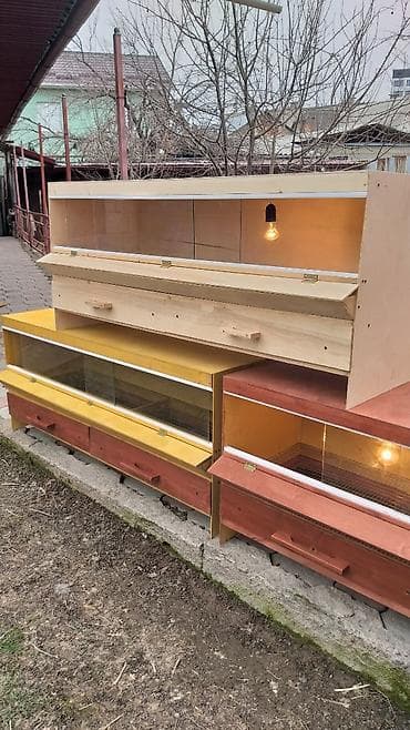 койлор баасы: Брудеры для цыплят. Цена 4800 сом. Размеры. длина 150 см ширина 50 см — 1