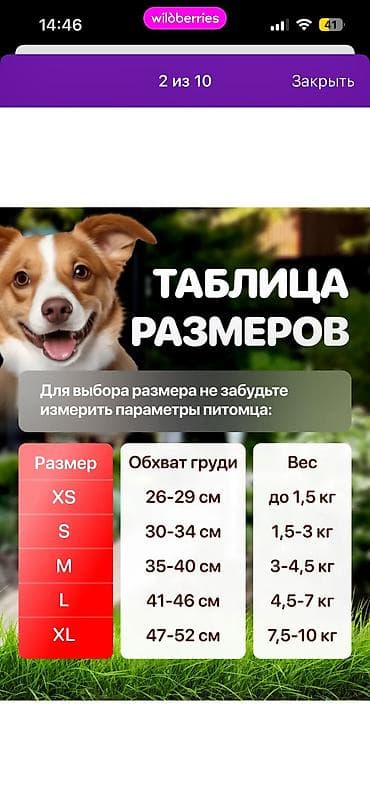 кой мал: Срочно продам шлейку новая!!!!! Покупала оказалась маленькой. Размер — 3