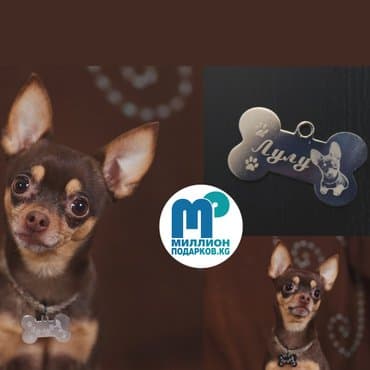 товары для кошек бишкек: Адресники-косточки: белые, золотые, серебряные с вашей надписью(имя — 2