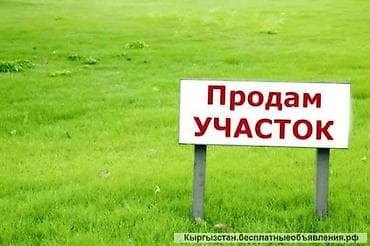 4 соток, Красная книга — 1