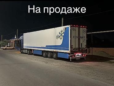 daewoo k2: Прицеп, Schmitz Cargobull, Холодильник, рефрижератор — 5