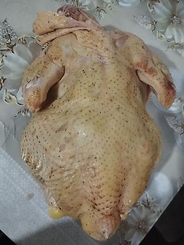 Животные: Мясо домашней курицырежем по заказу не замороженные -350 сом кг — 2