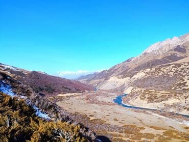 электронные пригласительные на свадьбу на кыргызском языке: Услуги переводчика — 4