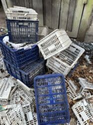 разнорабочий работа: Прием пластика — 2