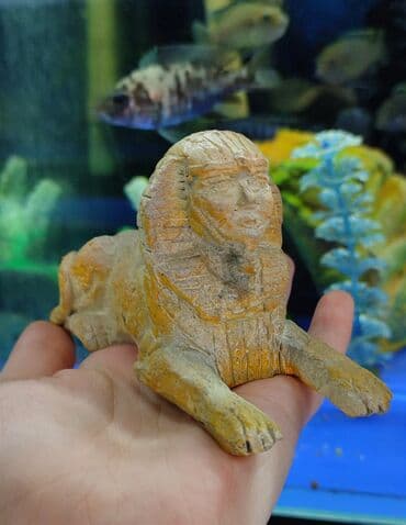 аквариумная рыбка: Большой ассортимент аквариумных декораций. Аквариум- прекрасный — 6