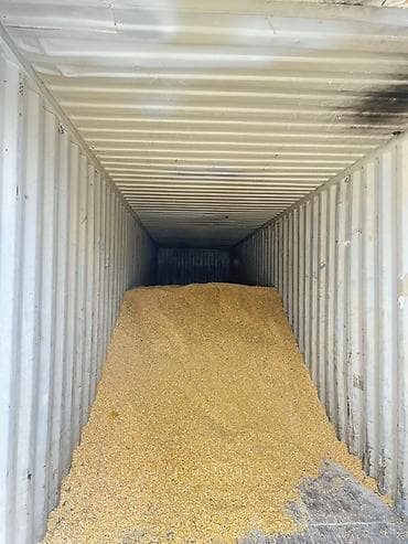 продажа кукуруза: Кукуруза фуражная, навалом - Зерно кукурузы, отгружено навалом в — 2