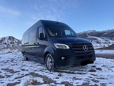 ленивец на даф: Пассажирский микроавтобус Mercedes‑Benz Sprinter 315 CDI (сине‑темный — 7