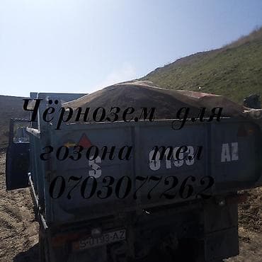 4 pot: В тоннах, Платная доставка, Зил — 7