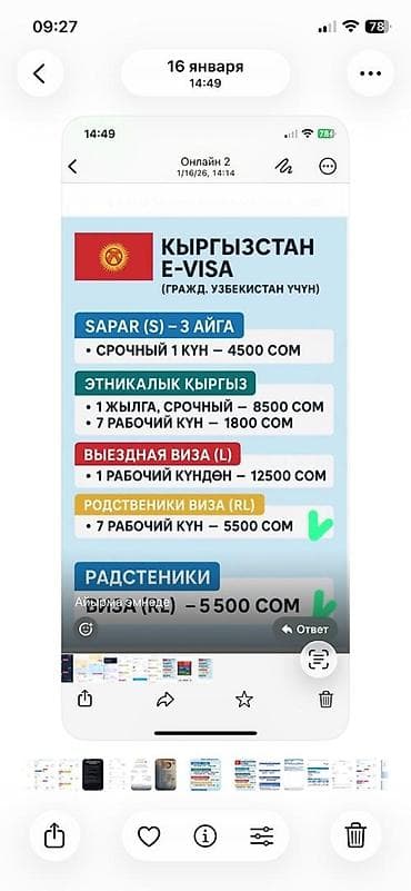 форма солдата: Визовая поддержка и оформление e-Visa Киргизстан (для граждан — 2