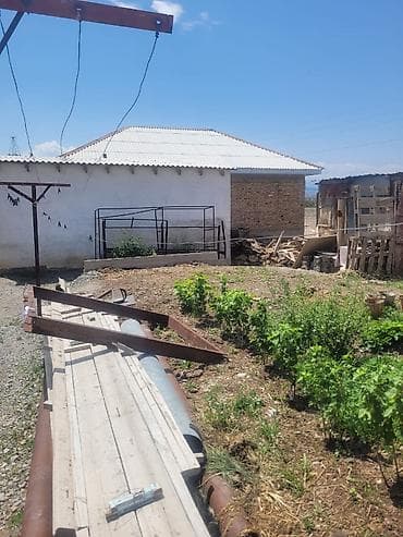 сары булун: Продаётся дом в городе Балыкчы. есть так же, хоз постройки сарай для — 7