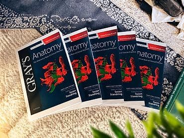 Gray's Anatomy: The Anatomical Basis of Clinical Practice (41st — 1