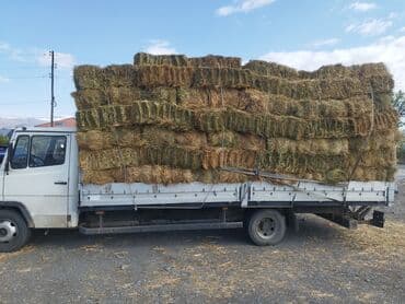мал айдаган иттер: Солома в тюках - Прессованная Ячменная солома в Длину 1.20 ДОСТАВКА — 4