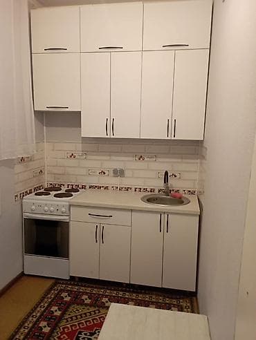 Кыймылсыз мүлк: 1 бөлмө, Менчик ээси, Толугу менен эмереги бар — 2