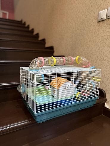 Клетка для хомяка с игровым тоннелем и аксессуарами - Просторная