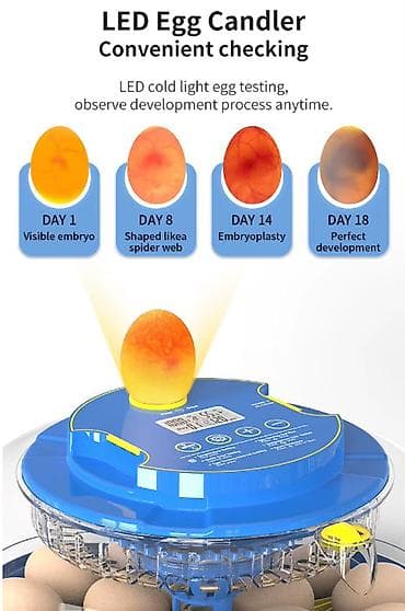 яйцо инкубационое: Инкубатор на 18 яиц с автоматическим поддержанием влажности и — 3
