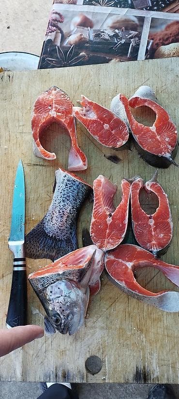 Полуфабрикаты: Продаю форель холодного копчение — красная рыба домашнего посола - — 6