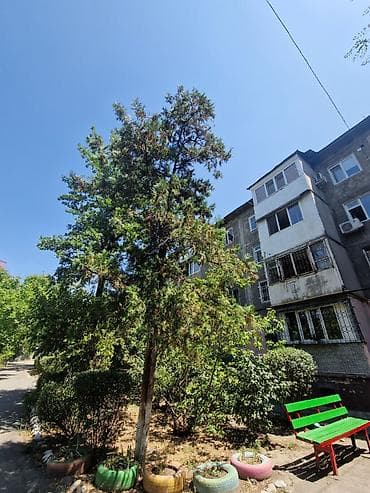 2 комнаты, 43 м², 3 мкр 104 серия, 4 этаж, Косметический ремонт