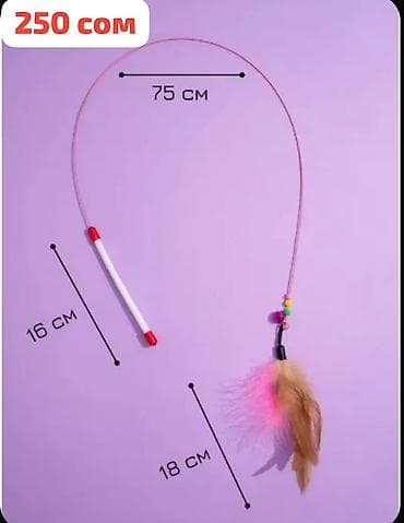 Услуги ветеринара: Зоотовары — 3