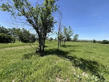 ошский район: 5 соток, Для строительства, Красная книга, Тех паспорт, Договор купли-продажи — 2