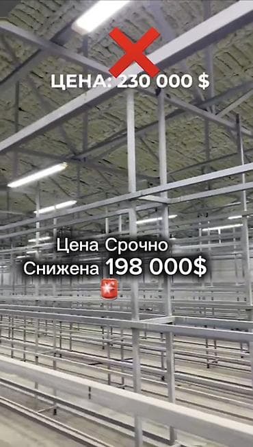 работа складе: Теплица, 9 соток, Действующий, С оборудованием — 7