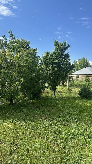 Жилой дом с участком и садом РАЙОН ж/м Восток ( село Восток)