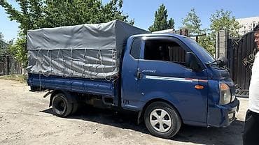 зимные балоны: Универсальный тент Для грузовых авто — 2
