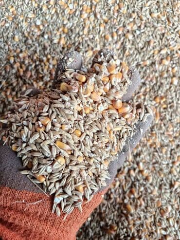 белый мёд: Отруби 22сом 3в1жем 26сом ячмень кукуруза пшеница 2в1 кукуруза — 5