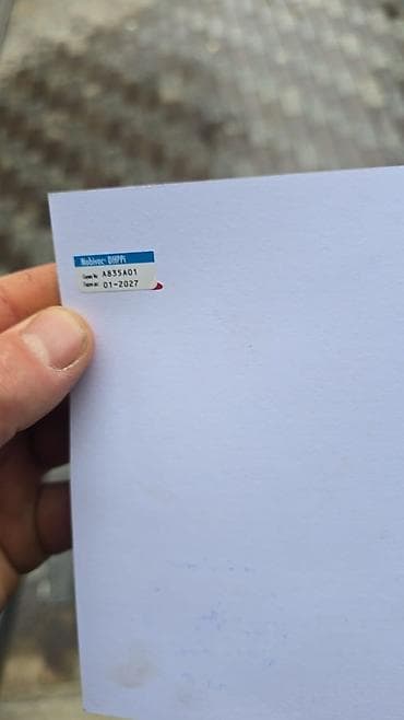 Үй жаныбарлары: 3 айлык, Эркек — 8