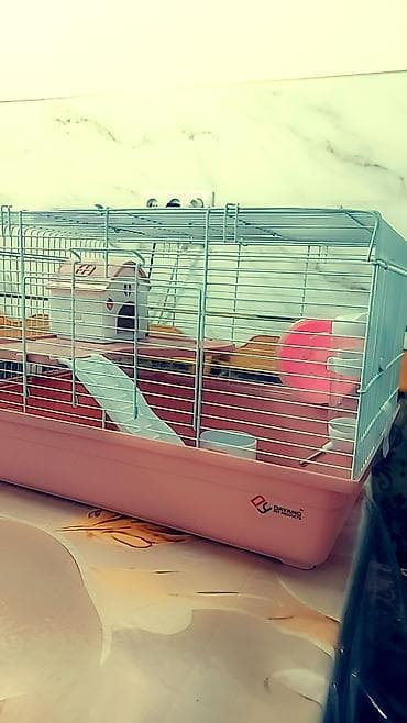 кара суу уй сатылат: Большая двухэтажная клетка + 1 хомячок всего за 1500 сом. любая на — 6
