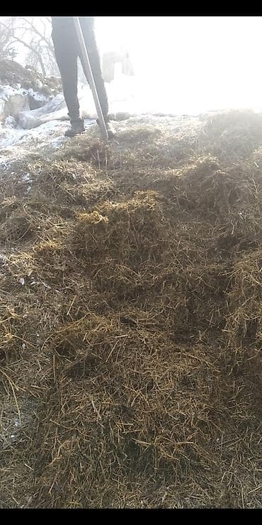 Сенаж!!! Силос!!!!!! Высший сорт!!!