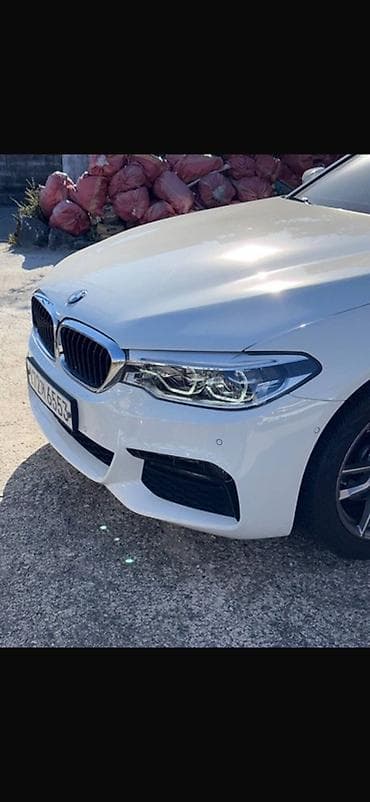 спринтер тумба: BMW 5 series: 2019 г., 2 л, Автомат, Дизель, Седан — 7