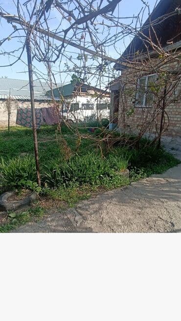 дизель сдам частный дом без хозяина в бишкеке: 35 м², 3 комнаты, Бронированные двери, Подвал, погреб, Забор, огорожен — 4