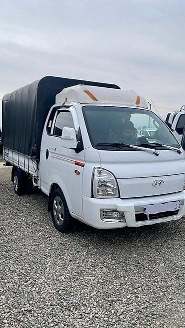 бак портер: Легкий грузовик, Hyundai, Стандарт, 3 т, Б/у — 1