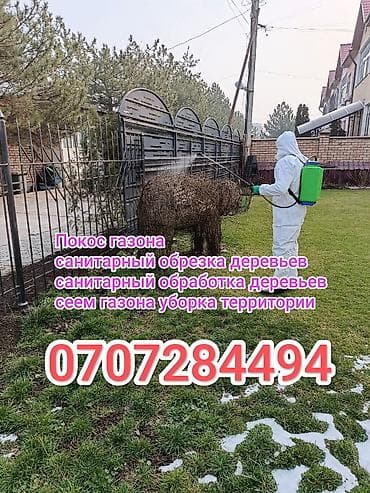 Уборка территории, Уборка двора и сада